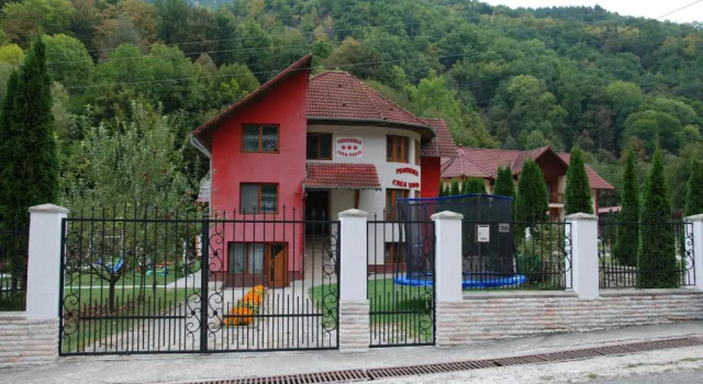 Pensiunea Casa David, Book Hotel Hotels in Alba with a Pool, Swimming Pool