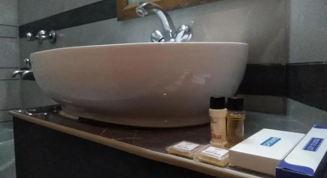 Номер Deluxe Hotel Vatika - the riverside resort
