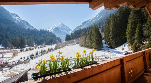 Апартаменты Hotel Waldcafe
