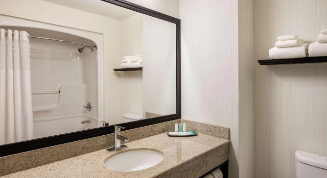 Четырёхместный номер Standard Clarion Hotel & Suites