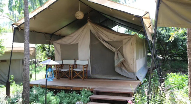 Номер Standard Wildebeest Eco Camp