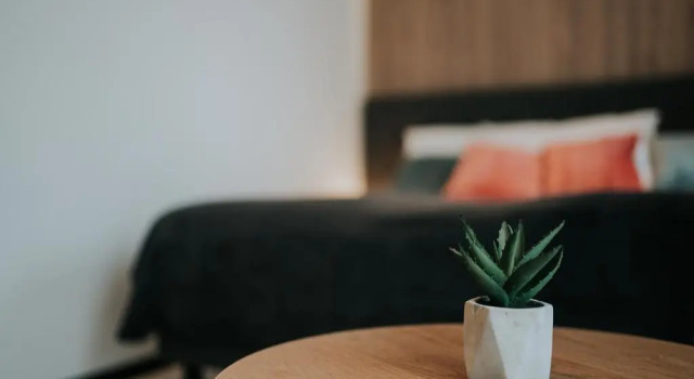 Студия Apricot Luxe Apartments