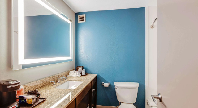Двухместный номер Standard Clarion Inn Asheville Airport