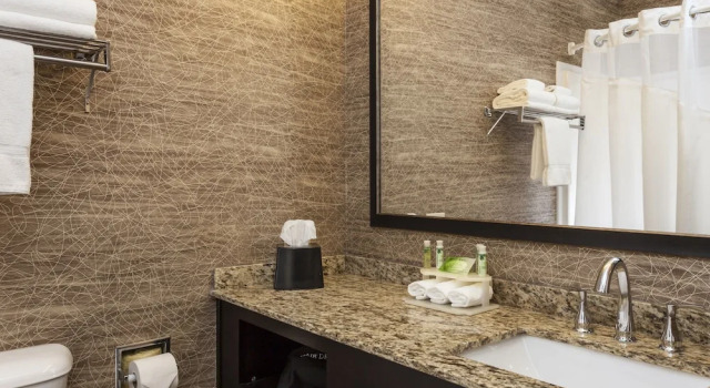 Двухместный люкс Wyndham Garden Anchorage Airport