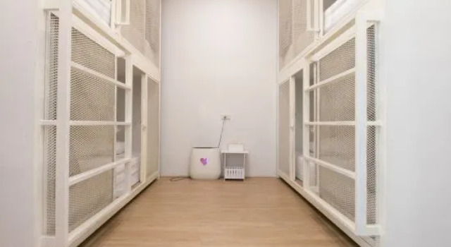 Кровать в общем номере (женский номер) Paknap Hostel