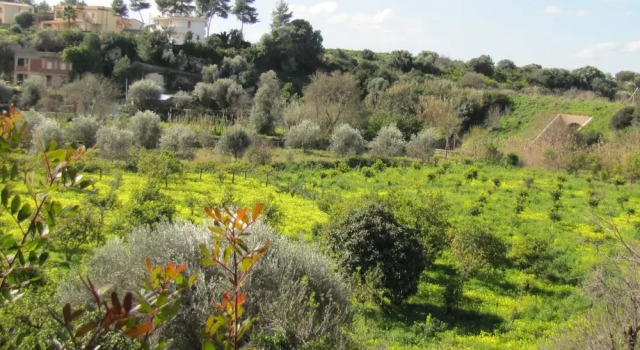 Коттедж Holiday Home in Lido di Noto near Beach