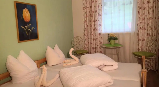 Standard dublă cameră Appartment Ibex