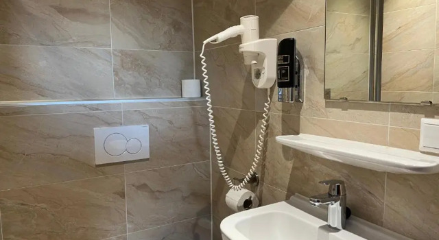 Двухместный номер Standard Blossoms City Hotel