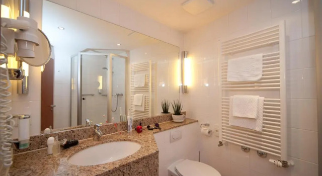 Одноместный номер Standard Hotel Mehl