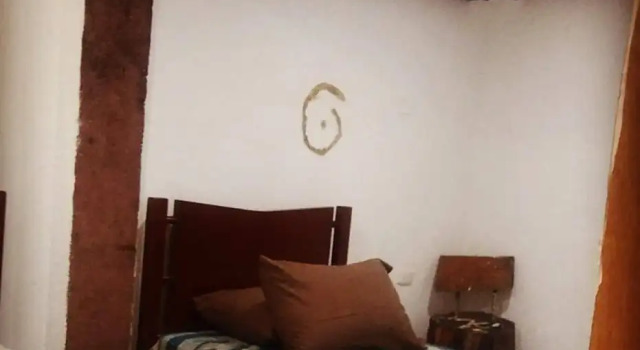 Одноместный номер Standard с видом на парк Kfe L Hostel