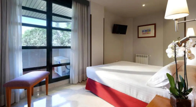 Трёхместный номер Exe Gran Hotel Almenar