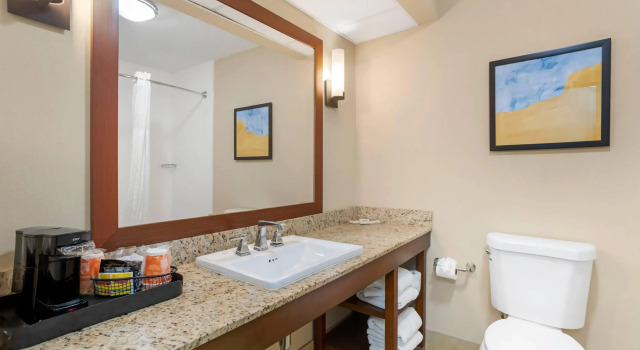 Двухместный люкс Comfort Suites Gastonia - Charlotte
