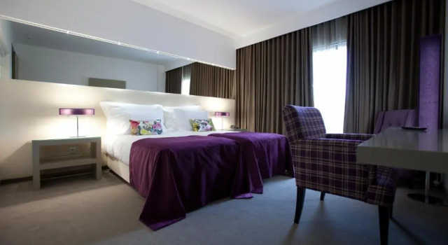 Двухместный номер Standard Delfim Douro Hotel
