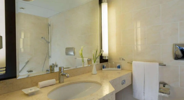Standard dublă cameră cu balcon Maritim Hotel Am Schlossgarten