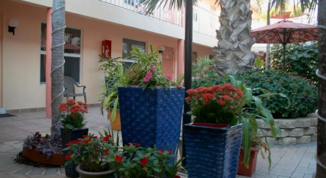 Номер Standard Lago Mar Motel and Apartments
