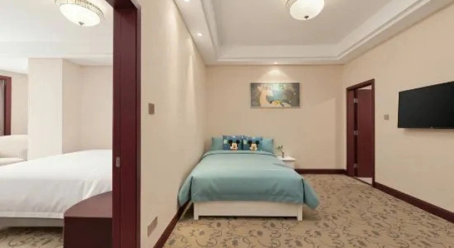 Люкс Shanghai Metropark Jichen Hotel
