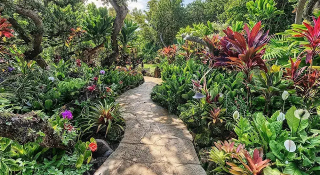 Sea Song in Kilauea With 4 Bedrooms and 4 Bathrooms, Κράτηση Διακοσστικό σπίτι Kilauea state of Hawaii