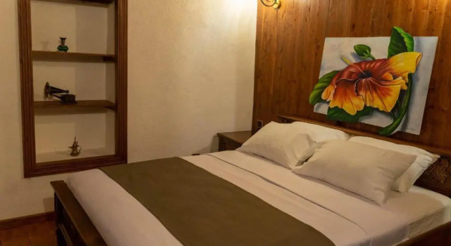 Двухместный номер Standard с видом на сад Yeşil Ev Cafe & Boutique Hotel