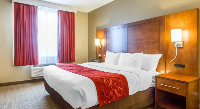 Номер Standard Comfort Suites University