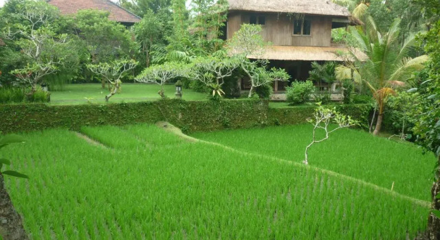Номер Deluxe Ananda Ubud Resort