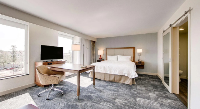 Kahden hengen Studio Hampton Inn & Suites North Houston Spring