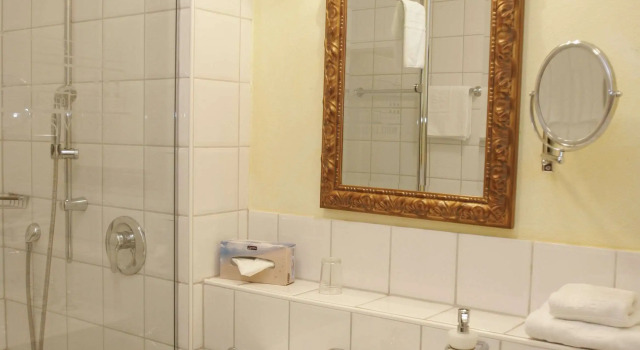 Одноместный номер Standard Hotel Landhaus Milser