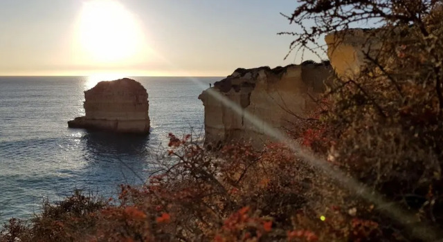 Magnific Studio With a Cozy Garden 5 Minutes to the Beach, Boek Hotel Albufeira Albufeira