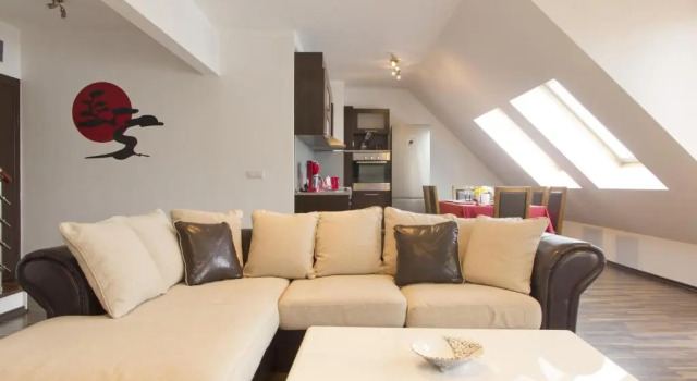 Апартаменты Дуплекс с 3 комнатами Vitosha Downtown Apartments
