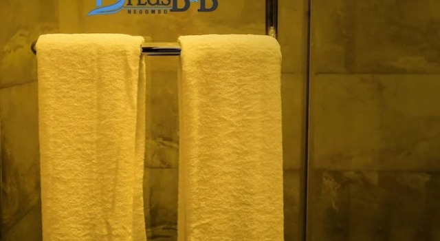Номер Standard c 1 комнатой с видом на сад D Plus B&B Negombo