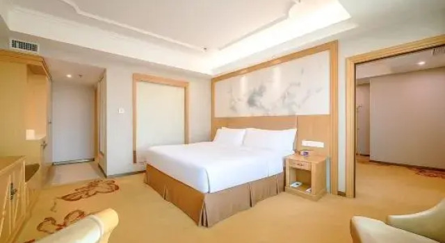 Люкс Deluxe Vienna Hotel Guangxi Nanjing Nanhu Park