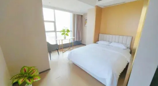 Люкс Deluxe Tianjin Jiacai Boutique Apartment (Tianta Subway Station)
