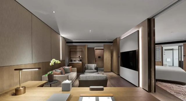 Suite doppia Executive Hilton Jiaxing