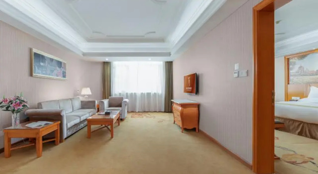 Люкс Executive Vienna International Hotel Guigang Hecheng Road Branch