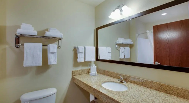 Номер Standard Cobblestone Inn & Suites - Durand