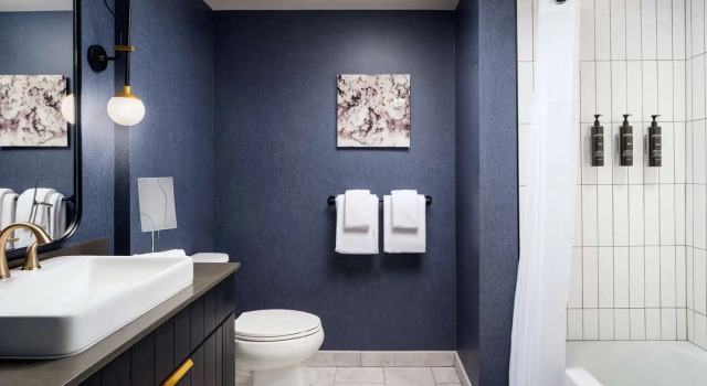 Двухместный номер Standard The Hoffmann Hotel Basalt Aspen Tapestry Collection Hilton