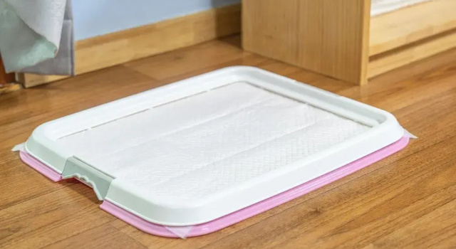 Номер Standard с 2 комнатами Gapyeong Highmong Pet-friendly Kids Pool