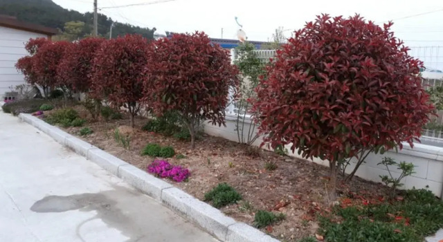 Pohang Wolpo Seagulls Pension, Забронировать Отель Отели провинции Кёнсан-Пукто с парковкой, Парковка