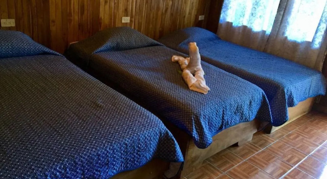 Green Papaya B&B, Забронировать Отель «постель и завтрак» Санта-Элена Монтеверде