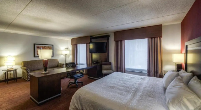 Студия Hampton Inn & Suites Detroit/Airport Romulus