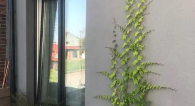 Flores Apartament, Prenota Appartamento Katowice 