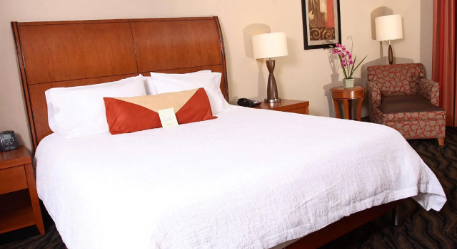 Двухместный номер Standard Hilton Garden Inn Chesapeake/Suffolk