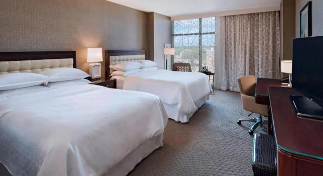 Четырёхместный номер Standard Sheraton Austin Georgetown Hotel & Conference Center