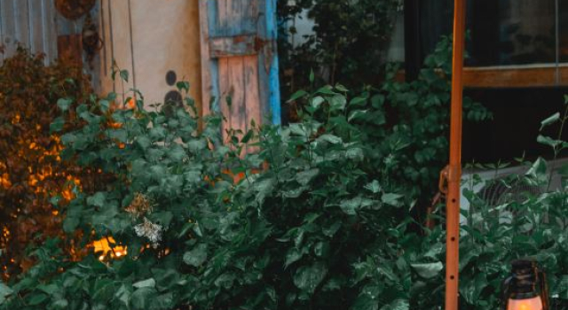 Huafeihua · Zen Aesthetics Homestay  From the street, Prenota Hotel Tekes Xinjiang