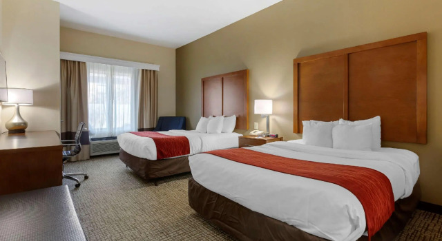 Четырёхместный номер Standard Springplace Inn & Suites