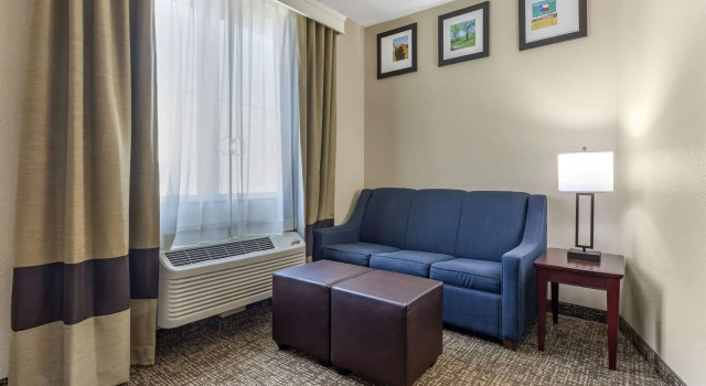 Двухместный люкс Для людей с ограниченными возможностями Comfort Suites Plano - Dallas North