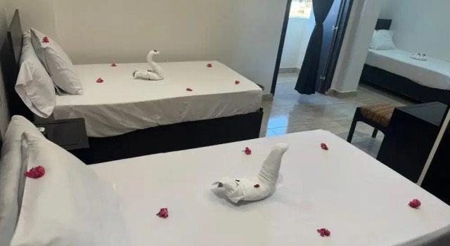 Номер Standard Summer Land Hotel