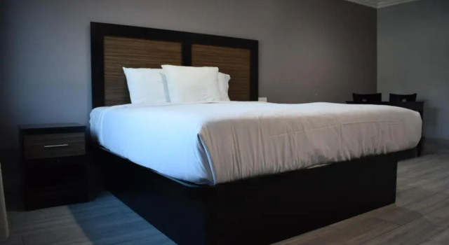 Номер Standard Willow Tree Inn & Suites