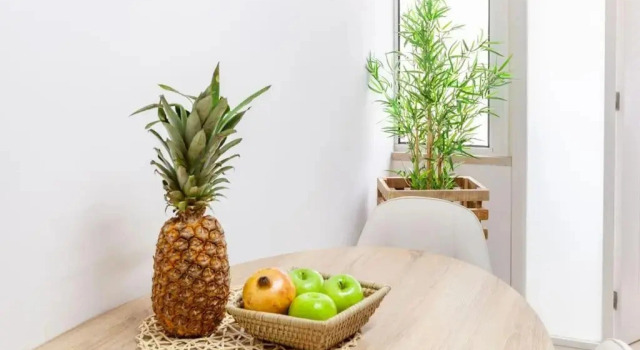 Апартаменты Apartamento Hibiscos - Minho s Guest