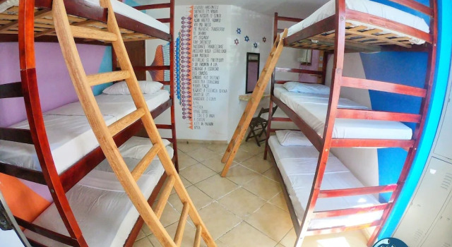 Кровать в общем номере (женский номер) Chamos Hostel Cultural
