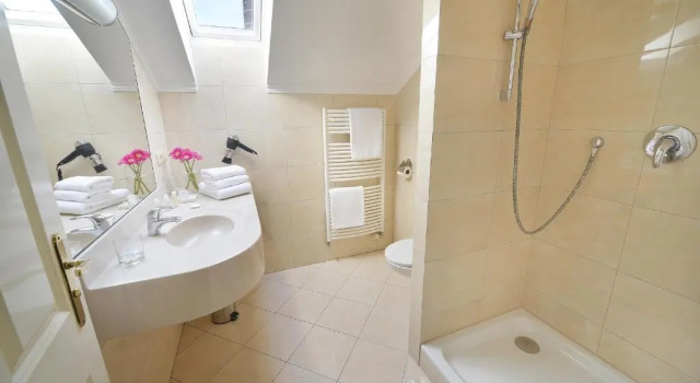 Одноместный номер Standard Hotel Angelis